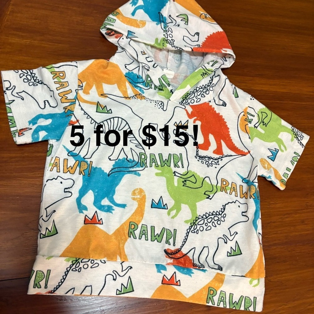 SHEIN Kids Dinosaur Graphic Hoodie 120cm VGUC 3T